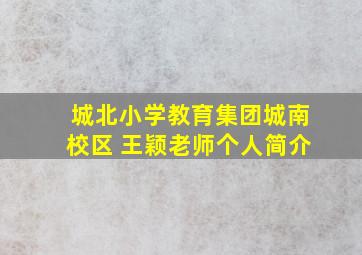 城北小学教育集团城南校区 王颖老师个人简介